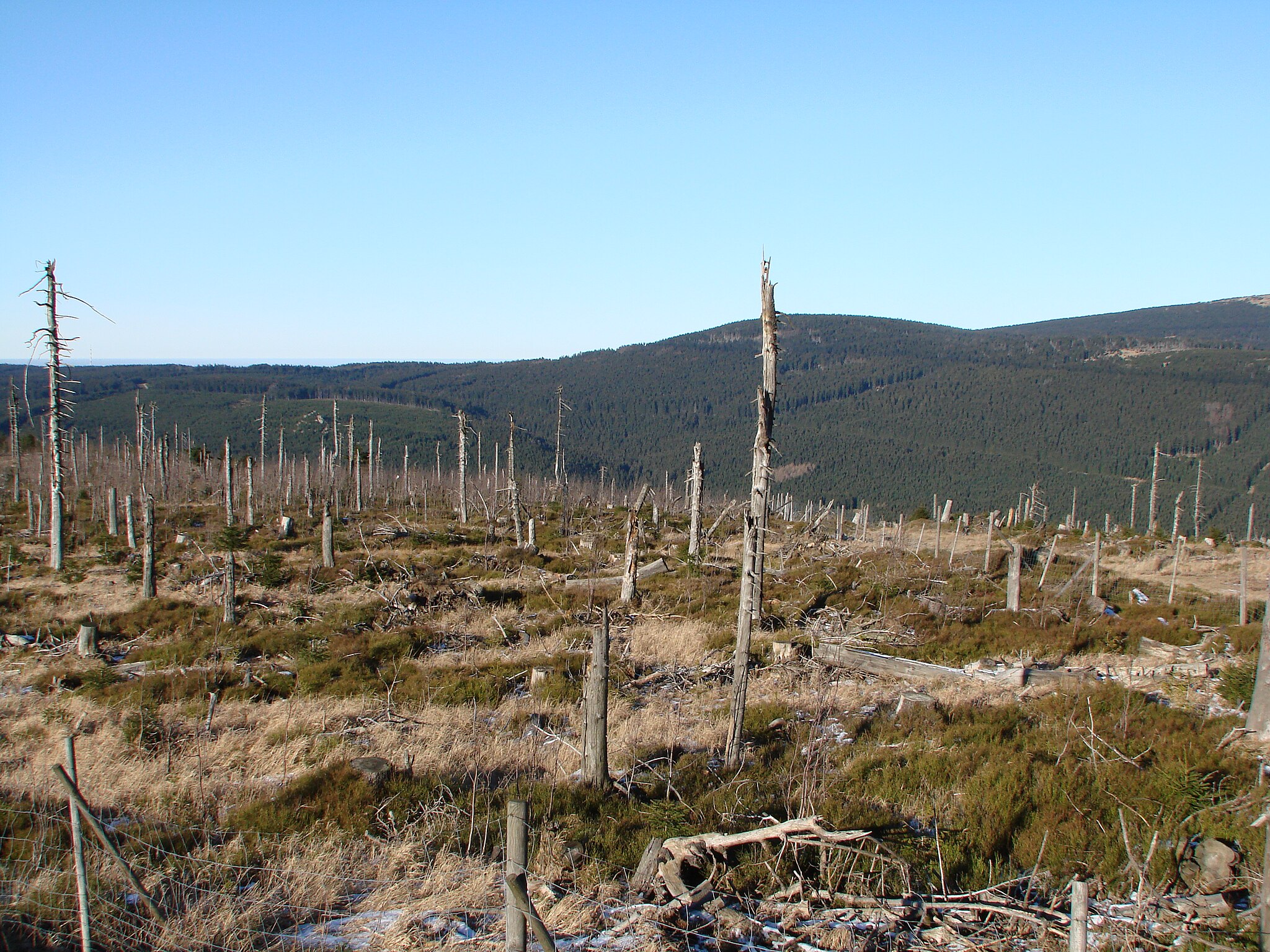 Wurmberg Braunlage, 2006